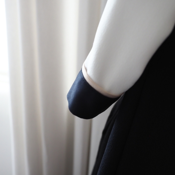 Warehouse shift color block placket dress - Picture 6 of 8